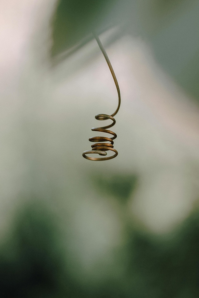About biodynamic craniosacral therapy